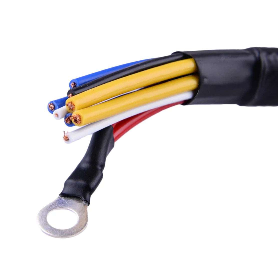 Prewired Fuse Relay Box & Fuses for 12V Car, Truck, Boat ( Specified)