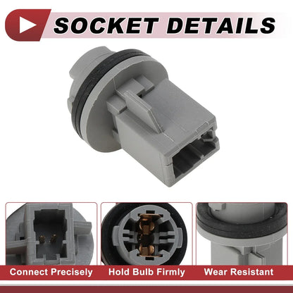 License Plate Light Socket for Hyundai Elantra 2001-2003 (1 x Socket)