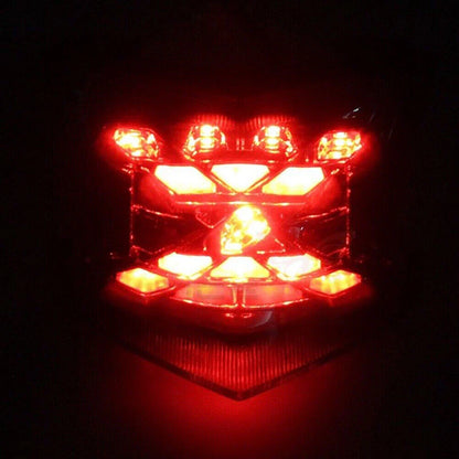 LED Tail Turn Signal Light for Kawasaki Z900/Z650 (2017-2023)