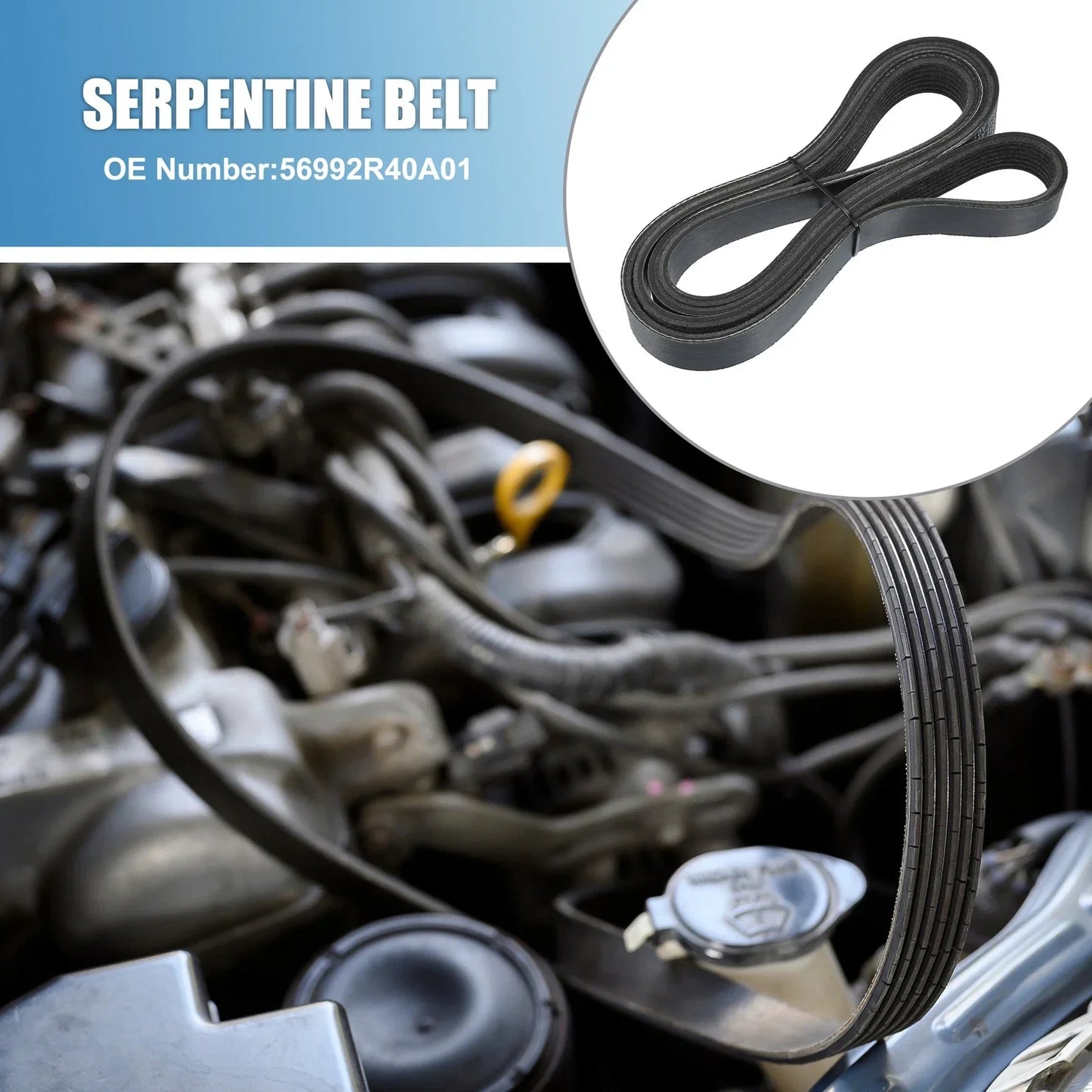 V-Ribbed Serpentine Belt for Honda Accord (2008-2012)