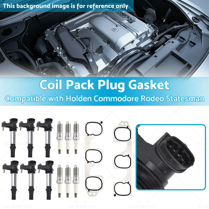 6 x Coil Pack Plugs Gaskets for Holden Calais Commodore Rodeo Statesman