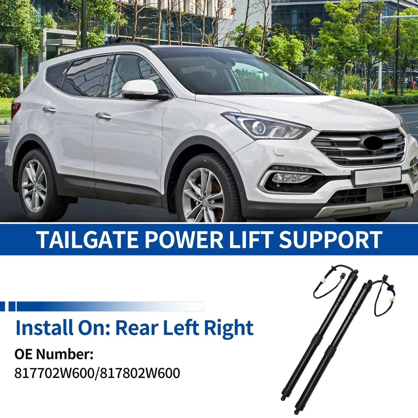 Rear Tailgate Power Lift Support for Hyundai Santa Fe Sport (2015-2018)