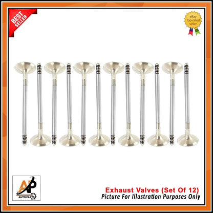 Exhaust Valves Set of 12 for BMW N55 N54 3 5 6 Series Petrol (2007–2016)