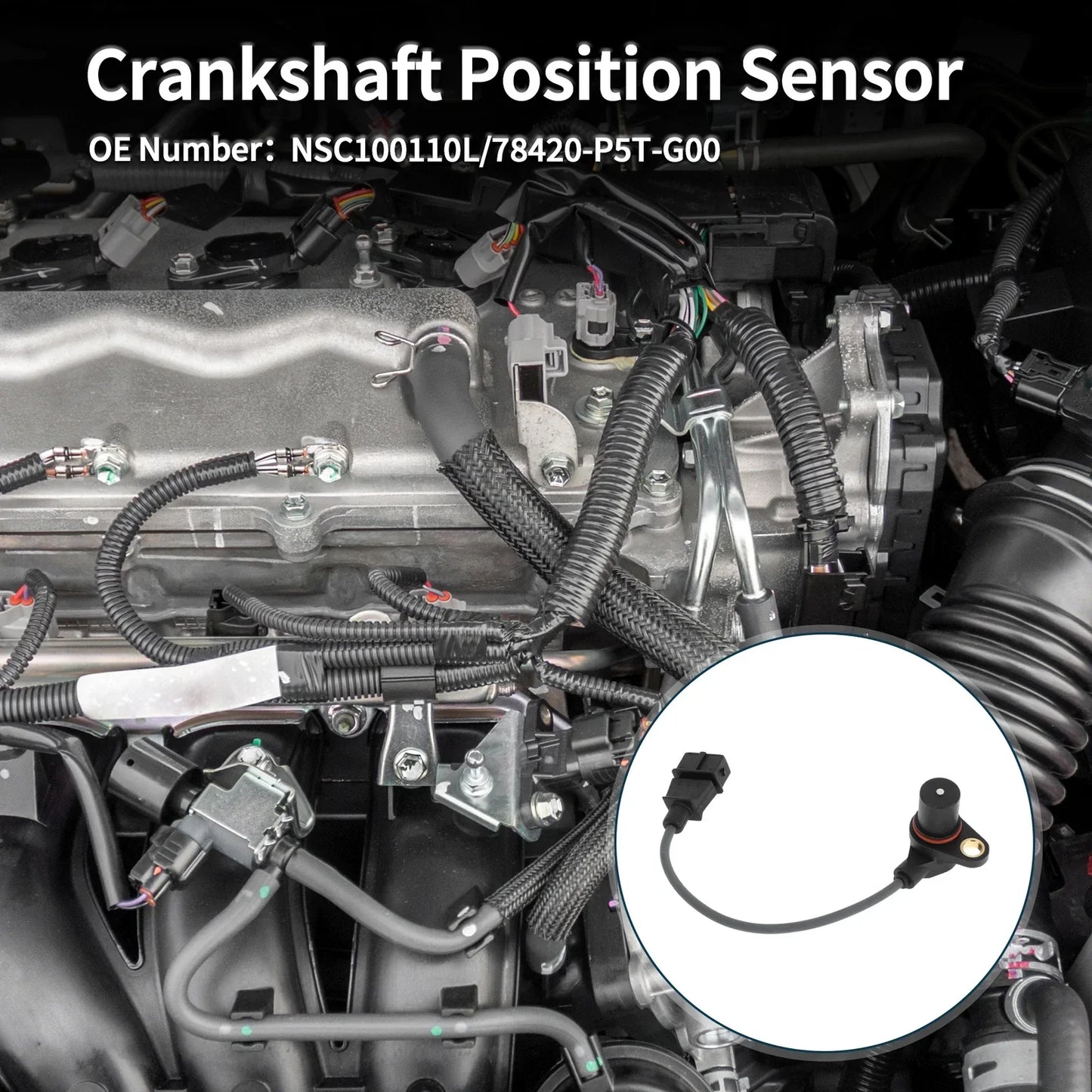 Crankshaft Position Sensor for Honda Accord 2.0 Turbo DI (1999-2002)