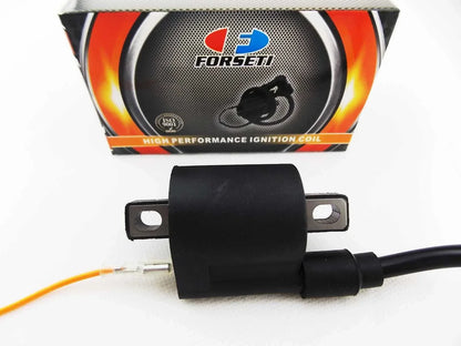 Ignition Coil Spark Plug Cap Assembly for JIANSHE JS80PY