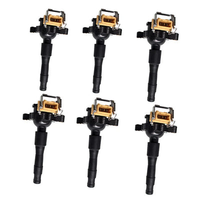 Set of 6 Ignition Coils for BMW 320Ci 320i 523i 528i 530i M3 X5 Z3 (2000-2006)