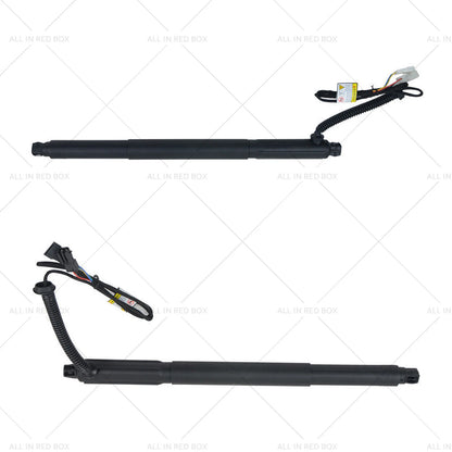 L+R Gas Struts w/ Automatic Opener for BMW X6 (2008-2019)