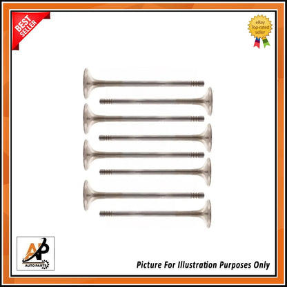 Exhaust Valves Set x8 for Mercedes 2.1D A651 (2015–2019)