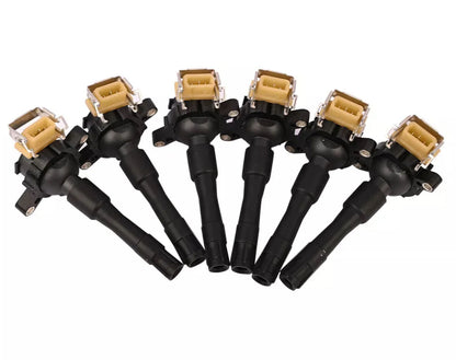 Set of 6 Ignition Coils for BMW 320Ci 320i 523i 528i 530i M3 X5 Z3 (2000-2006)