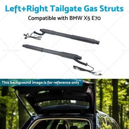 Gas Strut for BMW X5 E70 (2006-2013)
