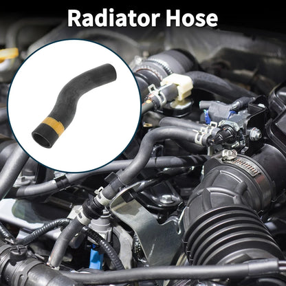 Radiator Hose for Lexus LS460 2007-2012 (2 x) Upper Pipe