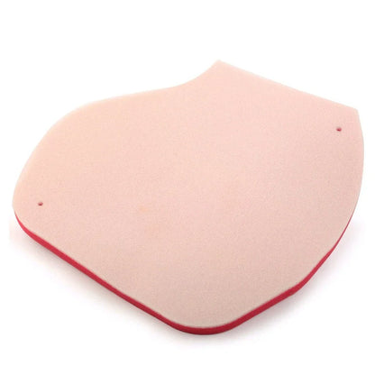Air Filter Cleaner for Yamaha Grizzly 550 YFM550, 700 YFM700 (2009-2015)