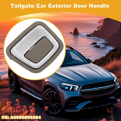 Exterior Door Handle for Mercedes-Benz X166 (Beige Silver Tone)