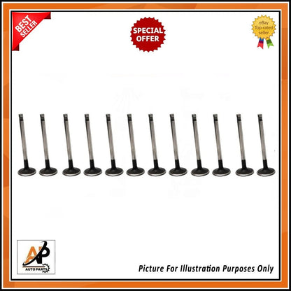 Exhaust Valve 12 Piece Set for Land Rover Range Rover L322 (2006–2012)