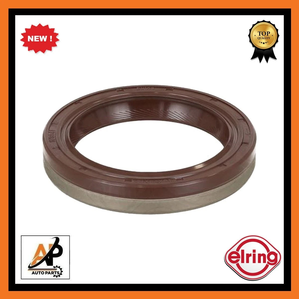 Crankshaft Oil Seal Replacement for BMW 3 Series E46 (2000–2006)