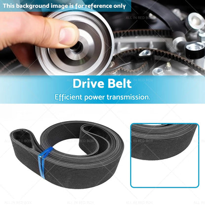 Drive Belt for Ford Transit VH VJ VM 2.4L 4cyl (2000-2014)