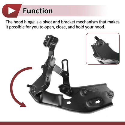 Hood Hinges for Lexus ES300h Front Bonnet Bracket (2019-2022) - 1 Pair