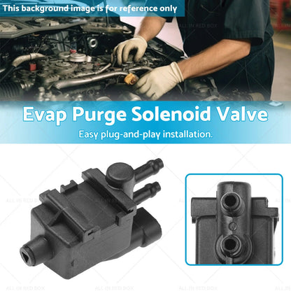 Evap Purge Solenoid Valve for Holden Commodore VT VU VX VY V6 3.8 (1997-2006)