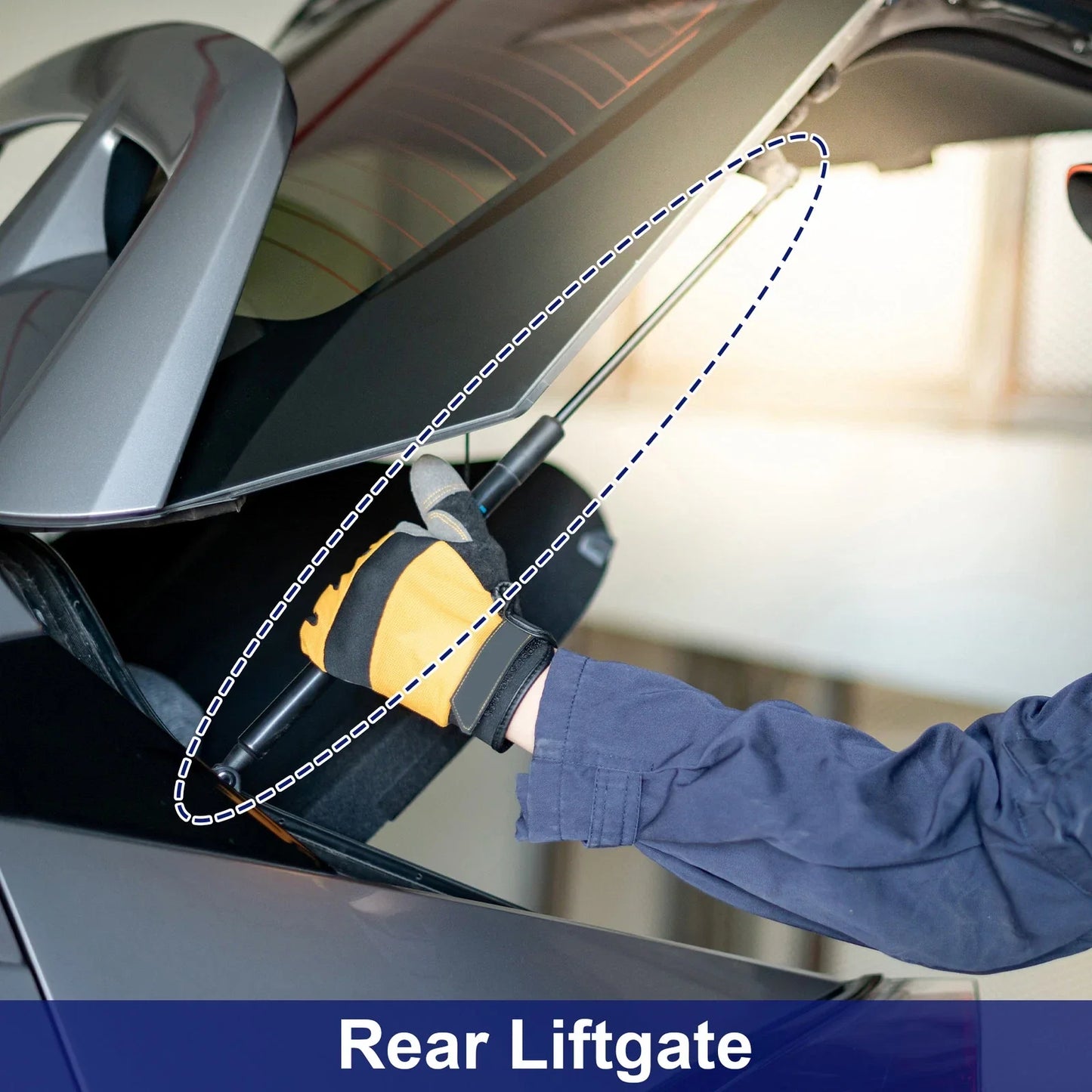 Tailgate Lift Support Struts Gas Spring for Honda Accord (2018-2023)