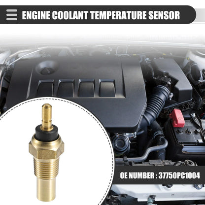 Engine Coolant Temperature Sensor for Honda Accord (1982-1984)