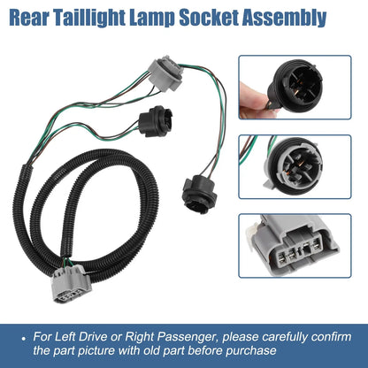 Tail Lamp Holder & Wiring Harness for Chevrolet Silverado