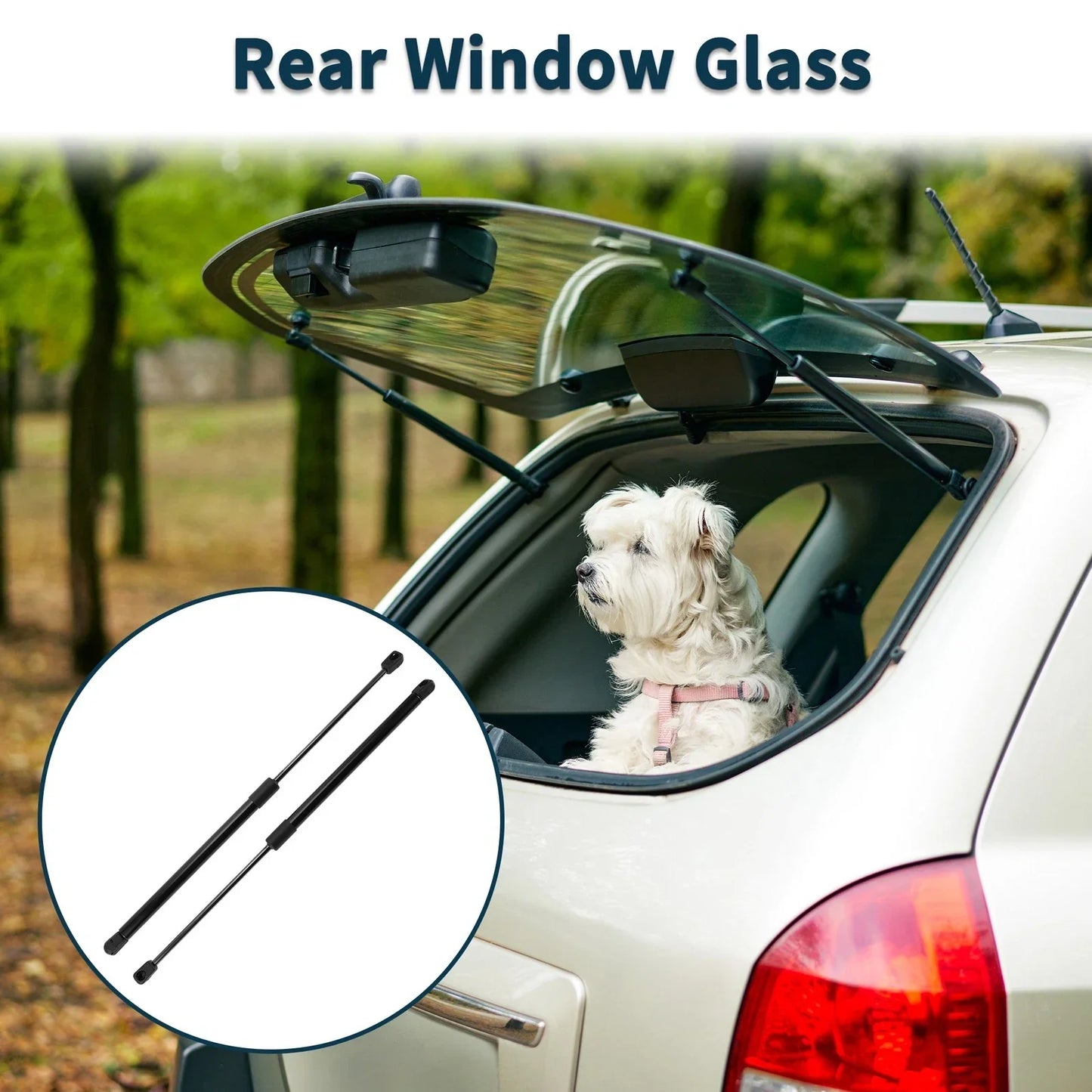 Rear Window Lift Supports for Honda Passport Sport (2003-2008)