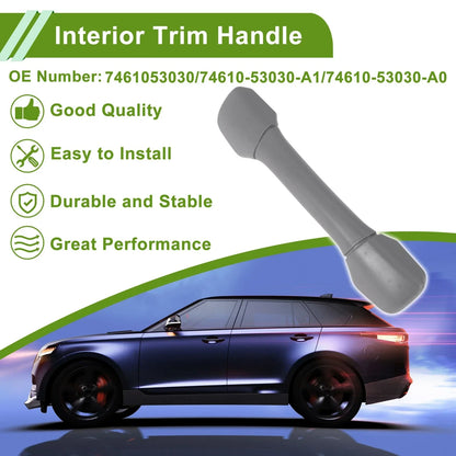 Interior Trim Handle for Lexus IS250 (2006-2015) - A Pillar Grab Handle, Gray