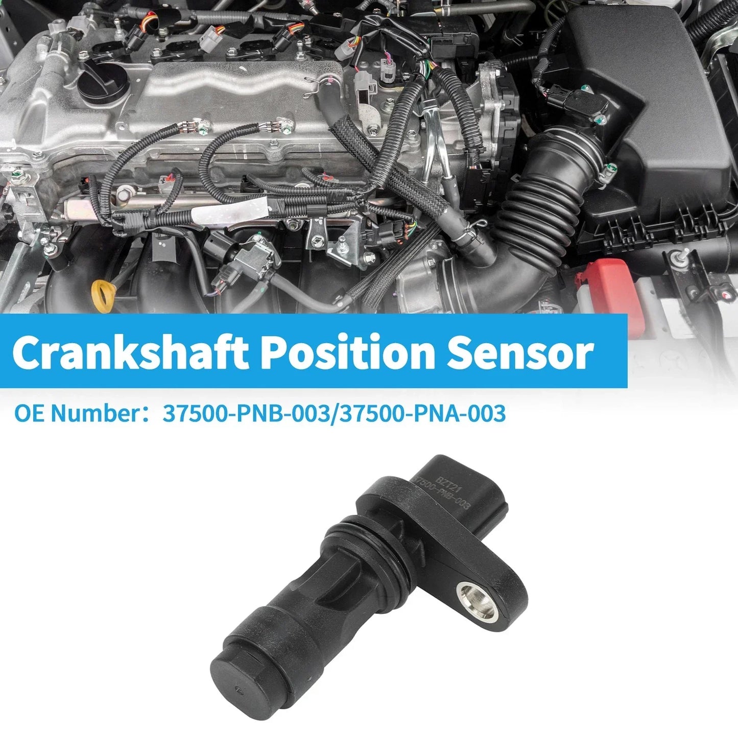 Crankshaft Position Sensor for HONDA Civic Hatch 2.0 Type-R (2001-2005)