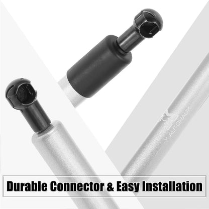 Tailgate Lift Support Set for Dodge Ram  - Rear Gas Springs