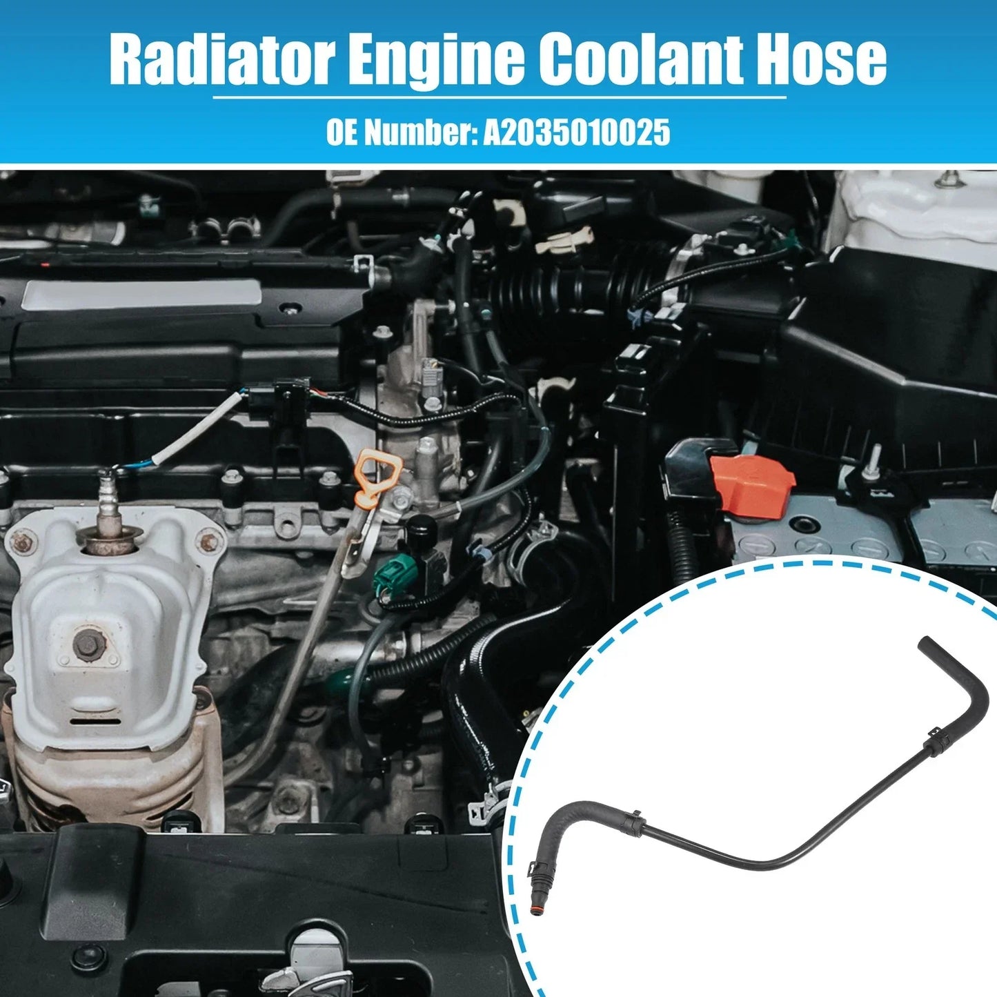 Radiator Engine Coolant Hose for Mercedes-Benz C 230 1.8L L4 (2002-2007)