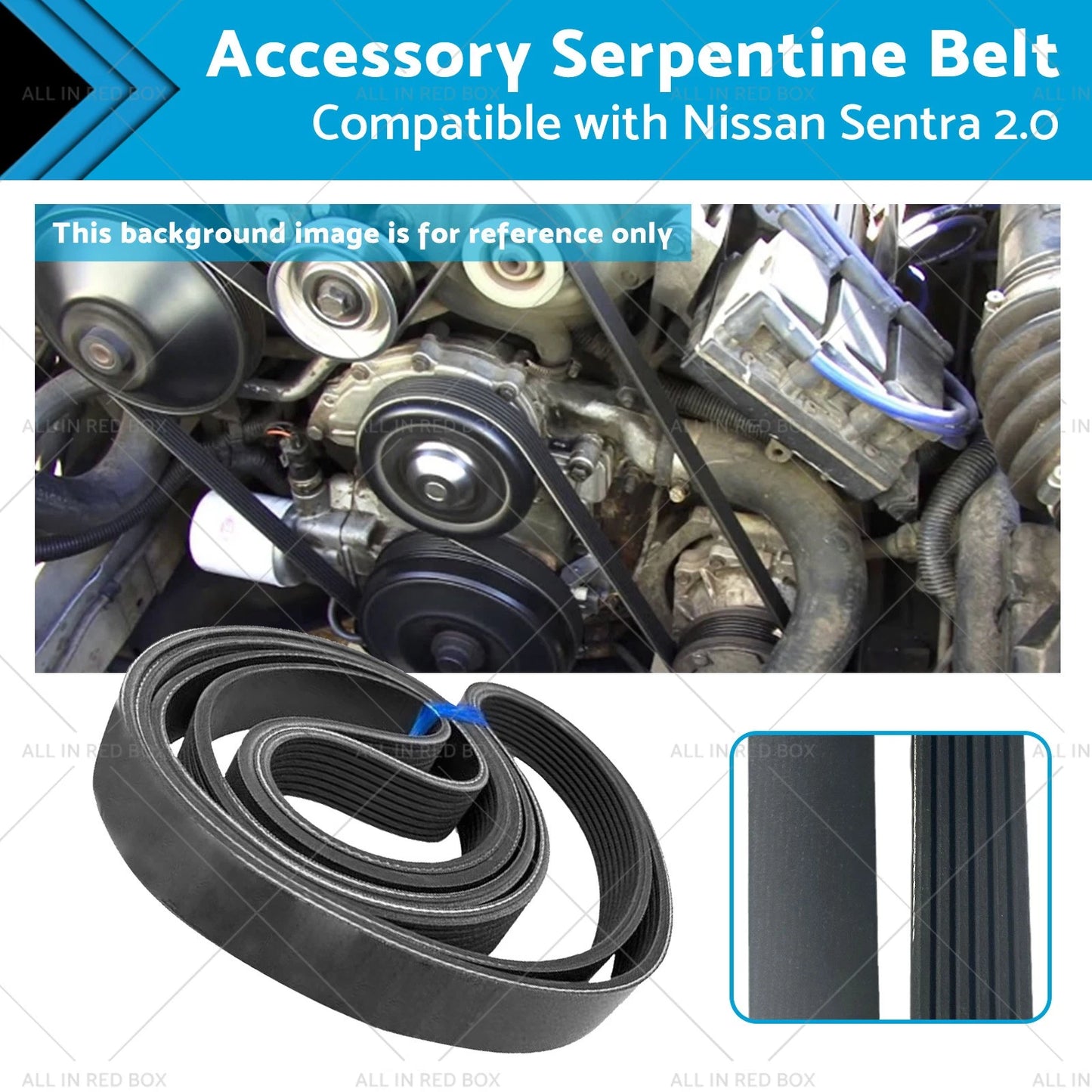 Serpentine Belt for Nissan Sentra 2.0 (2007-2012)