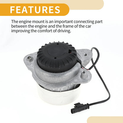 Engine Mount for Mercedes Benz S-Class W222 (2013-2020)