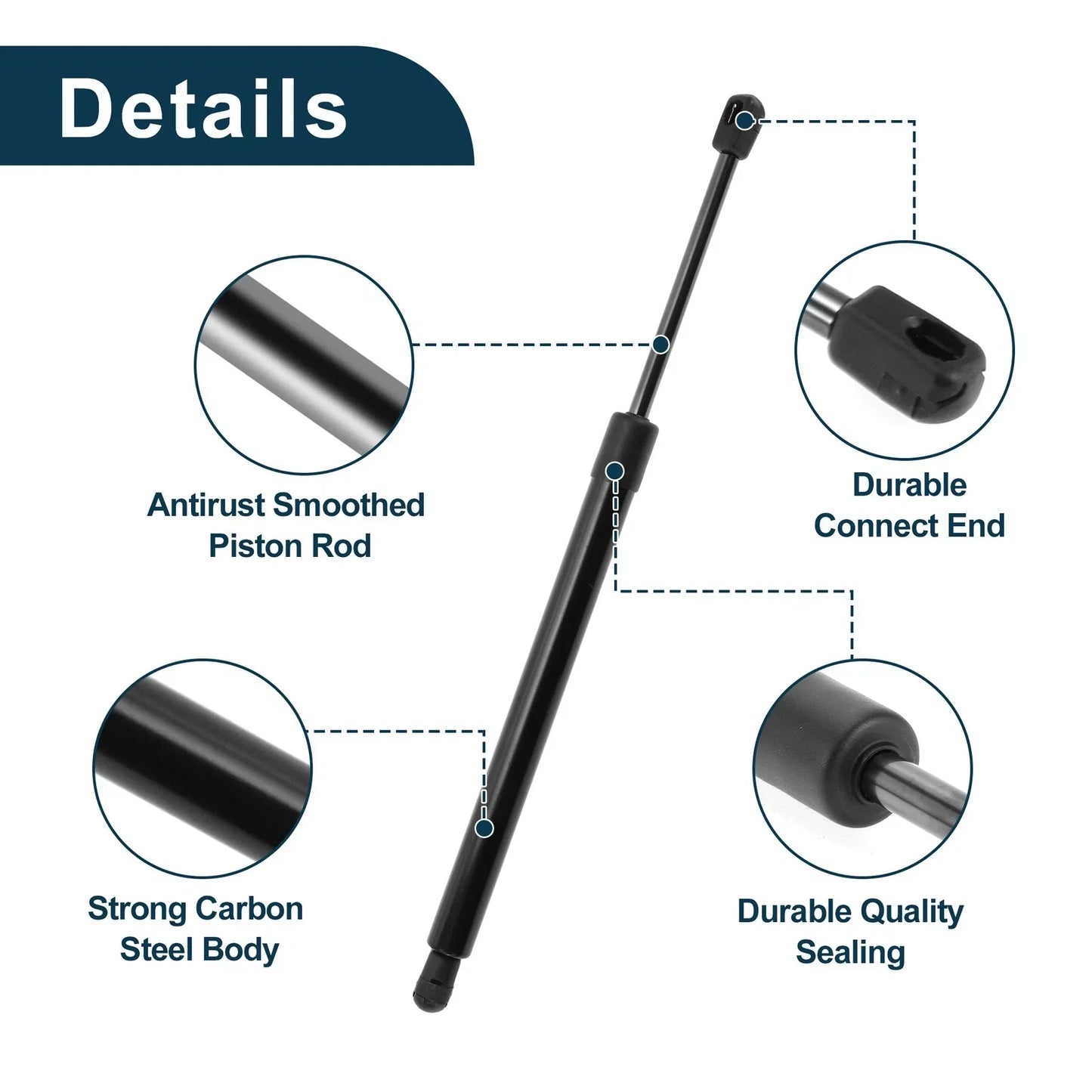 Rear Gate Lift Supports for Dodge Magnum (2005-2010)