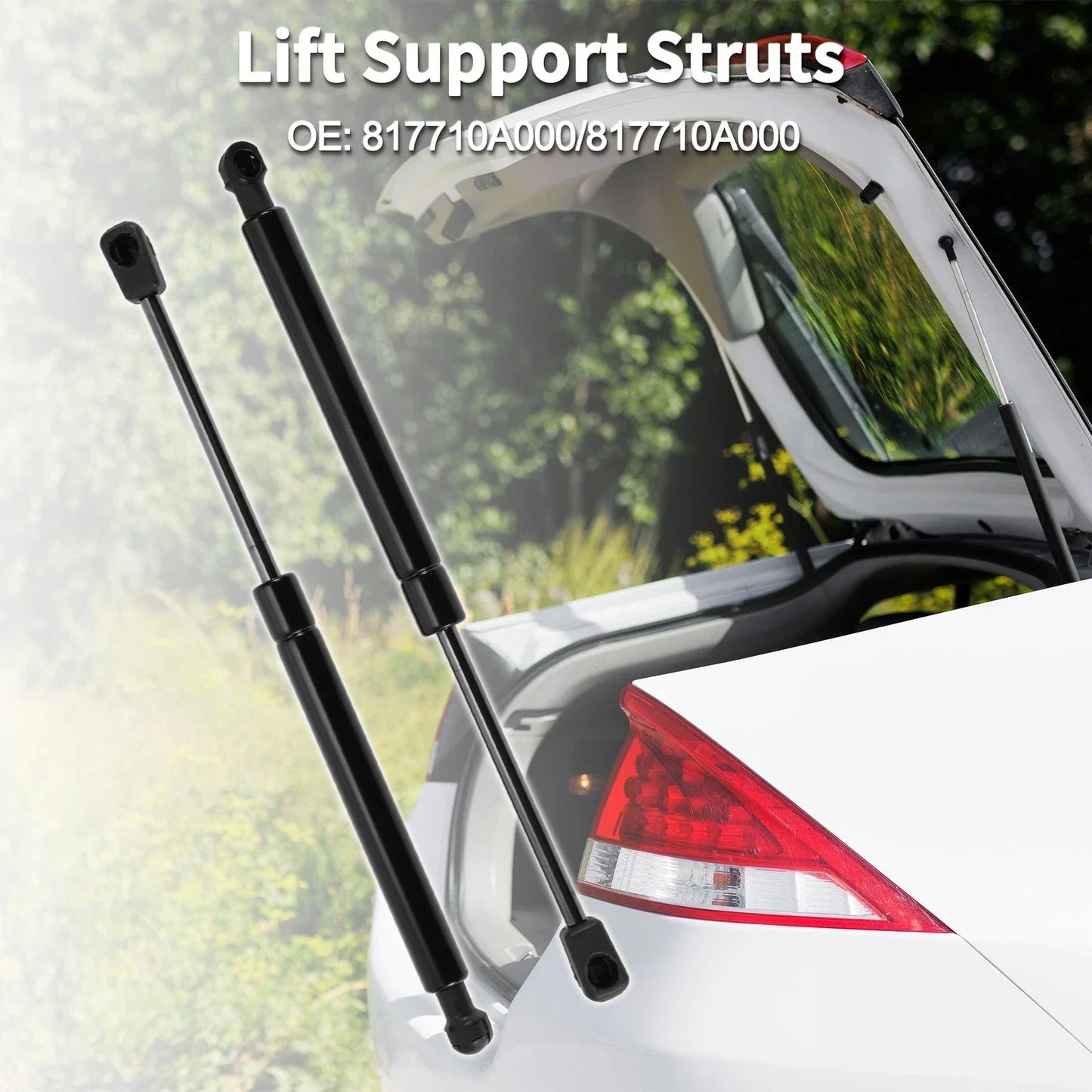 Rear Hatch Lift Supports for Hyundai Sonata Sedan (2011-2014)