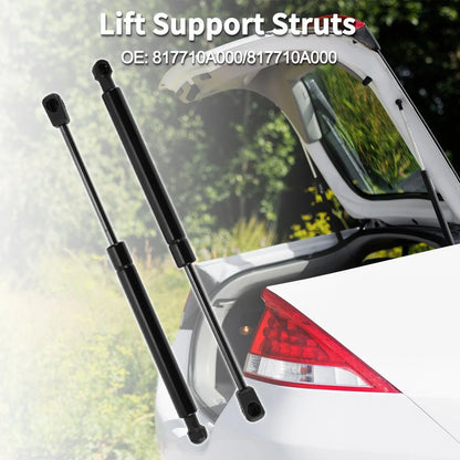 Rear Hatch Lift Supports for Hyundai Sonata Sedan (2011-2014)