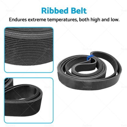 Ribbed Belt 6PK1790 for Suzuki Kizashi, SX4, Renault Laguna, Holden Barina