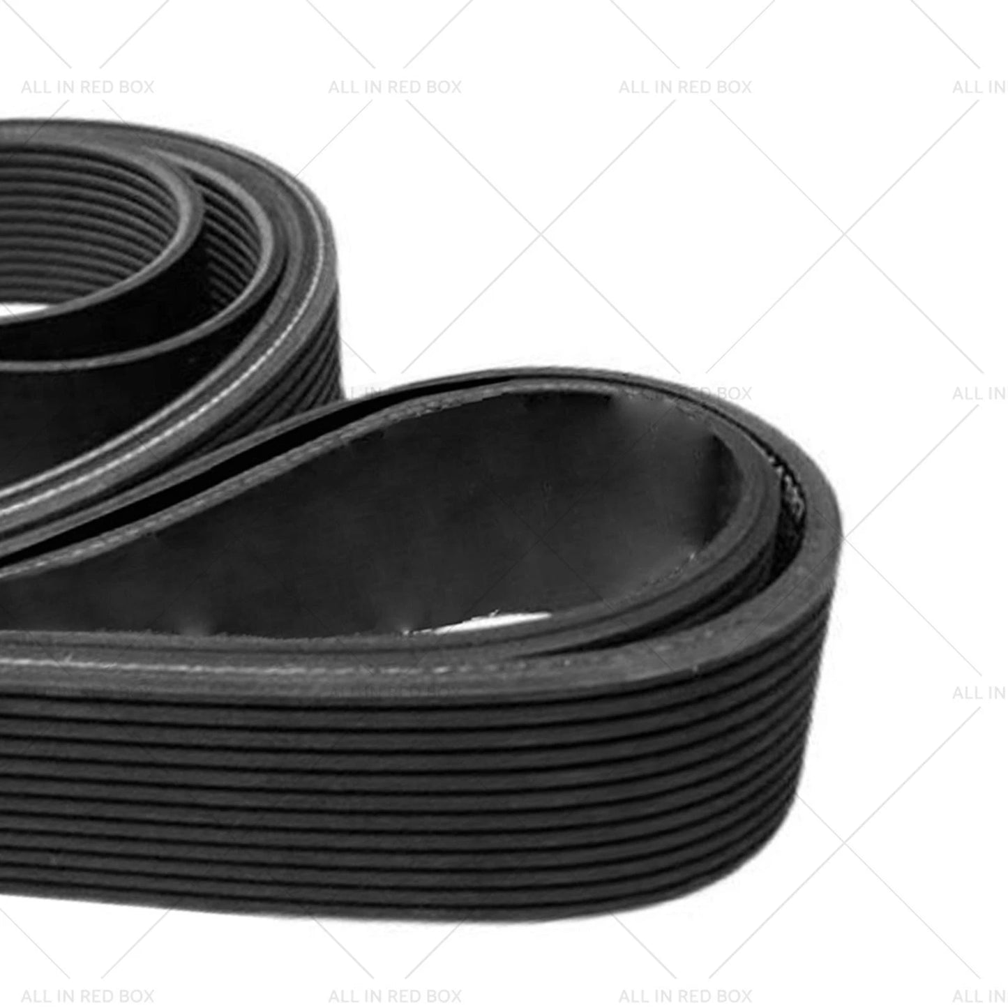 Drive Belt for Jeep Grand Cherokee, Lexus GX470, LS430, GS430 (2001-2006)