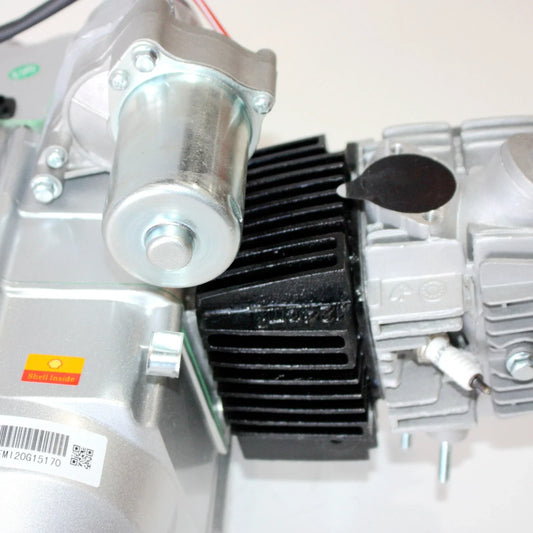 125cc Auto Reverse Engine Motor for BT PIT QUAD DIRT BIKE ATV DUNE BUGGY