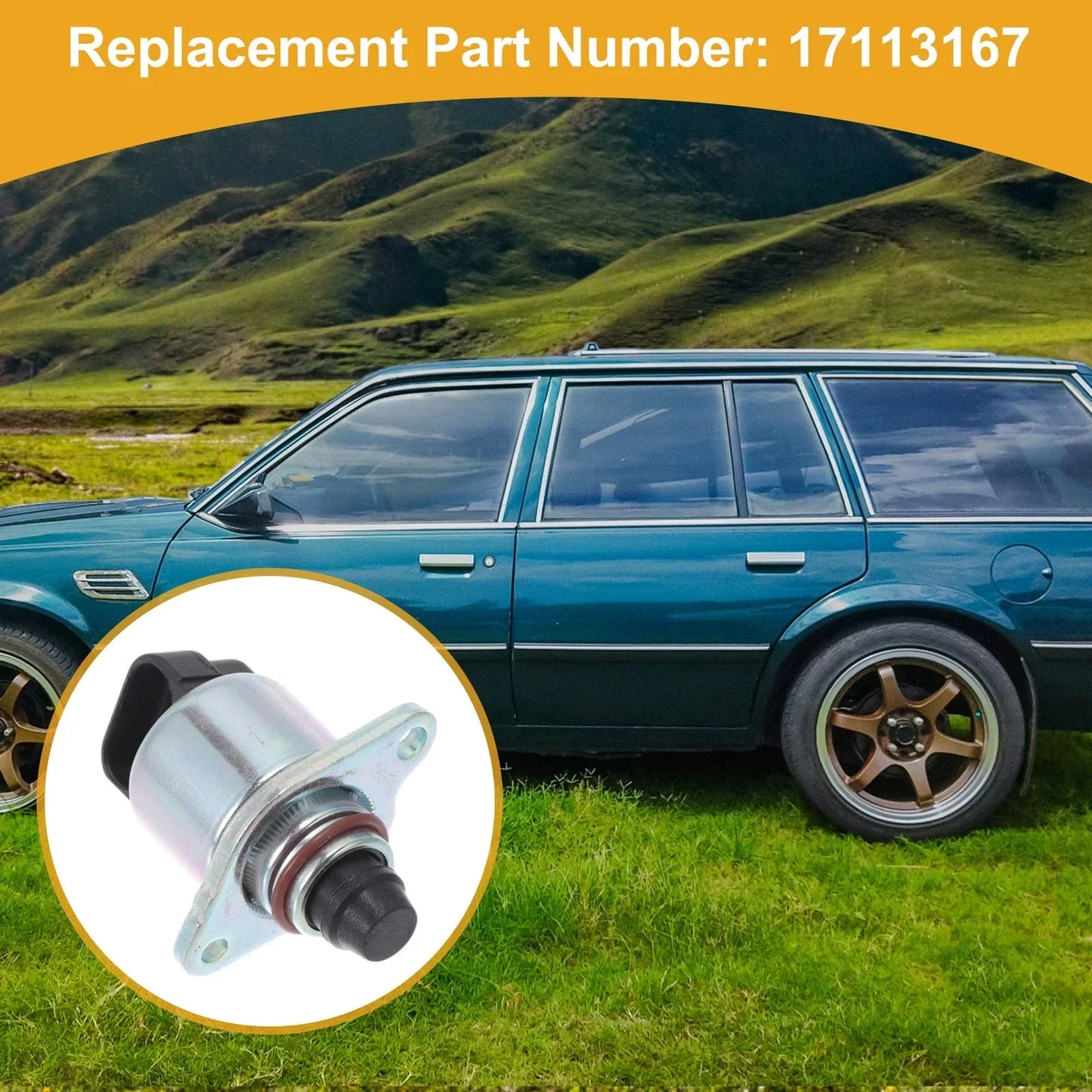 Idle Air Control Valve for Chevrolet Cavalier (1995)