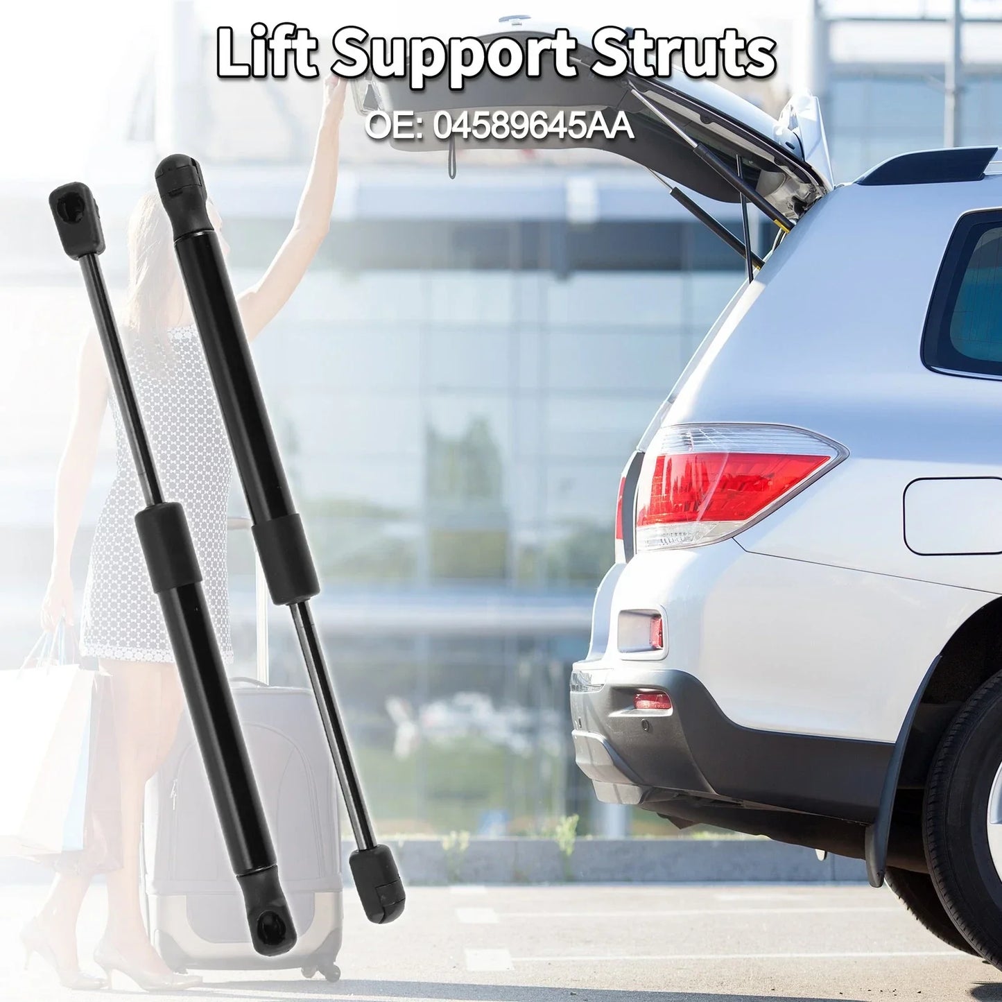 Rear Hatch Lift Supports for Dodge Challenger Coupe Without Spoiler (2008-2021)