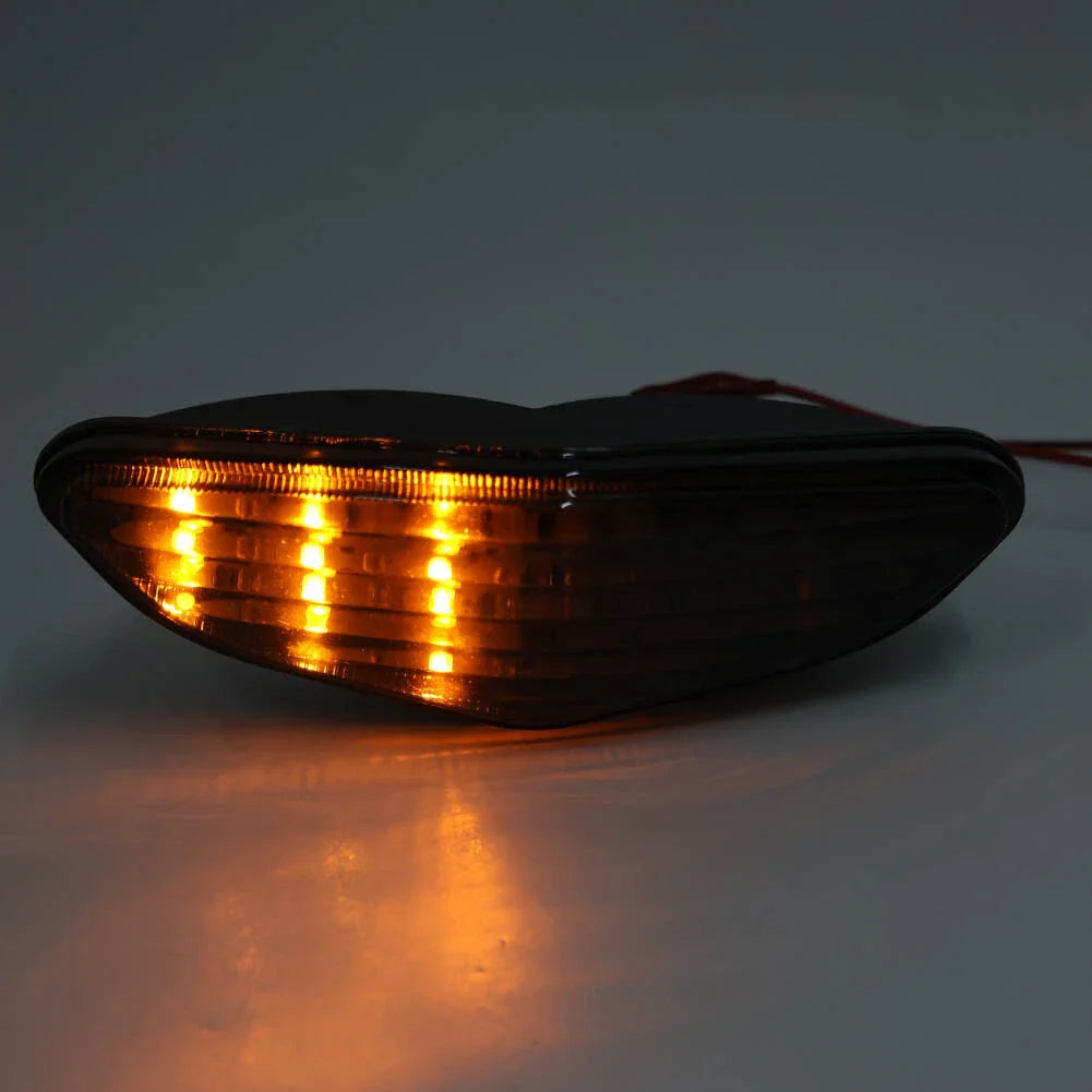 LED Tail Light for Suzuki V-Strom DL 650 (2004-2009)