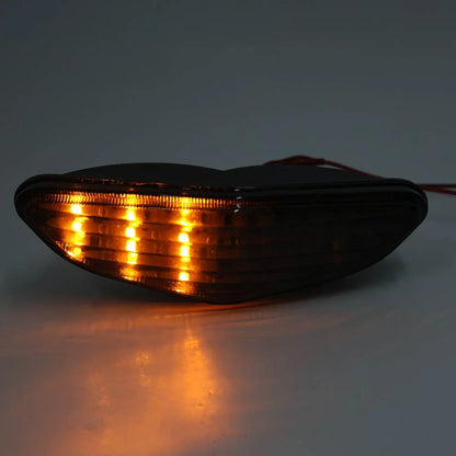 LED Tail Light for Suzuki V-Strom DL 650 (2004-2009)