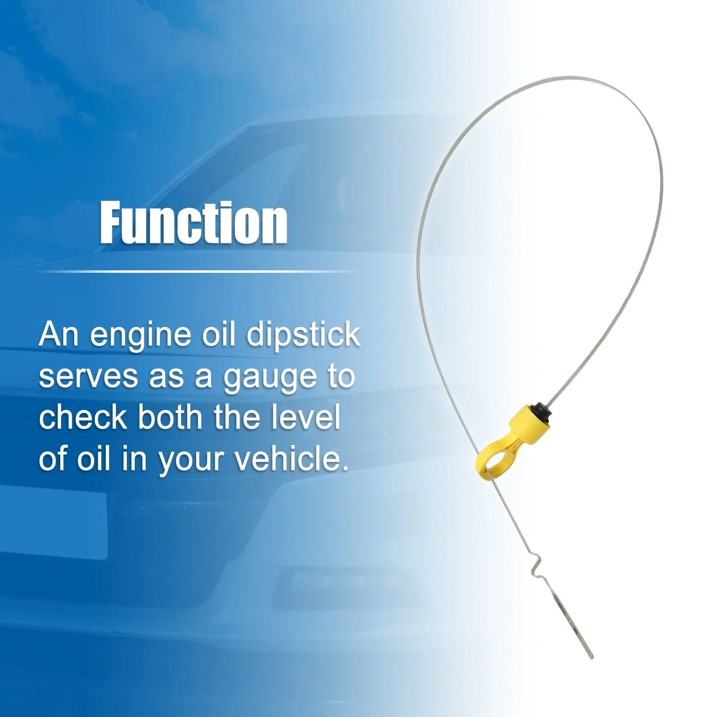 Transmission Oil Dipstick for Dodge Ram 1500 (2010-2023)