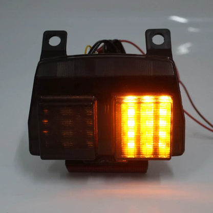 Rear LED Tail Light Brake & Turn Signal for Ducati 748 916 996 998 (94-04)